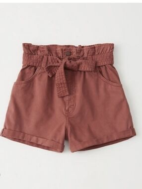 Abercrombie & Fitch High Waist Pink Belted Shorts